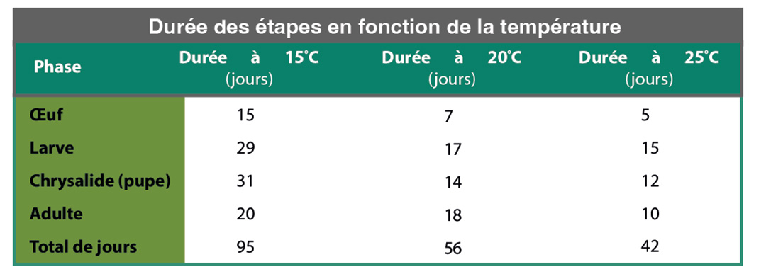 Duracion de los estadios en funcion de temperatura